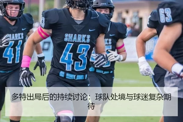 多特出局后的持续讨论：球队处境与球迷复杂期待